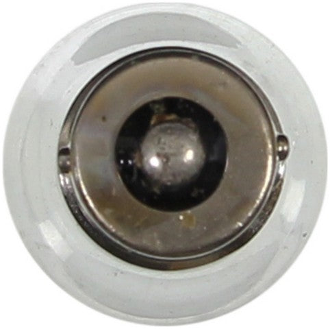 Wagner Lighting Back Up Light Bulb,Courtesy Light Bulb,Engine Compartment Light Bulb  BP1141