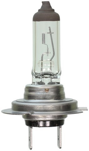 Wagner Lighting Cornering Light Bulb,Daytime Running Light Bulb,Fog Light Bulb,Headlight Bulb  BP1255/H7LL