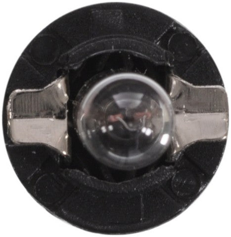 Wagner Lighting Multi Purpose Light Bulb  BP17035