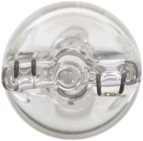 Wagner Lighting Dome Light Bulb,Instrument Panel Light Bulb,Map Light Bulb,Tail Light Bulb  BP17097