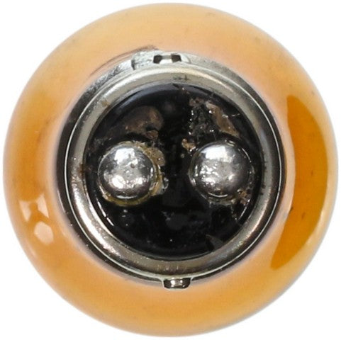 Wagner Lighting Parking Light Bulb,Turn Signal Light Bulb  BP2057NA