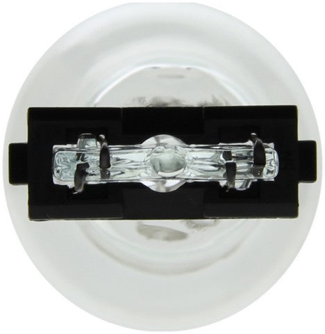 Wagner Lighting Back Up Light Bulb,Center High Mount Stop Light Bulb,Tail Light Bulb  BP3057LL