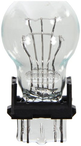 Wagner Lighting Back Up Light Bulb,Center High Mount Stop Light Bulb,Tail Light Bulb  BP3057LL