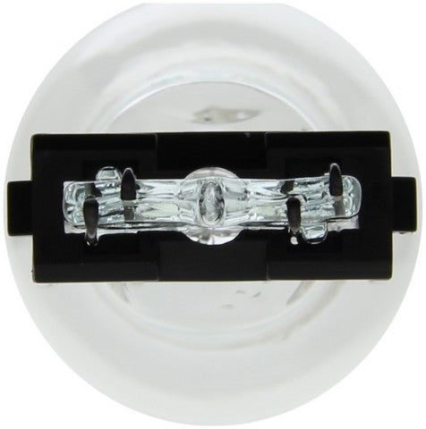 Wagner Lighting Back Up Light Bulb,Center High Mount Stop Light Bulb,Tail Light Bulb  BP3157