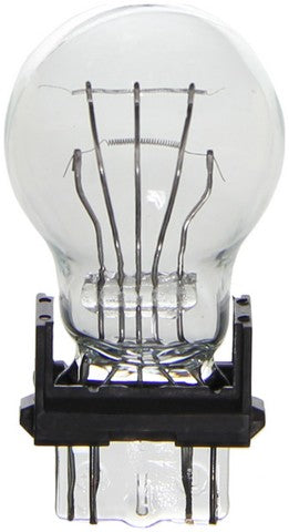 Wagner Lighting Back Up Light Bulb,Center High Mount Stop Light Bulb,Tail Light Bulb  BP3157