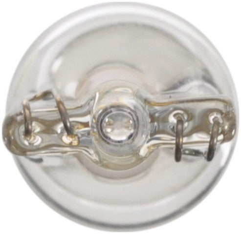 Wagner Lighting Center High Mount Stop Light Bulb,Map Light Bulb,Parking Light Bulb  BP3652