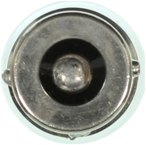 Wagner Lighting Dome Light Bulb,Instrument Panel Light Bulb,Map Light Bulb,Tail Light Bulb  BP67