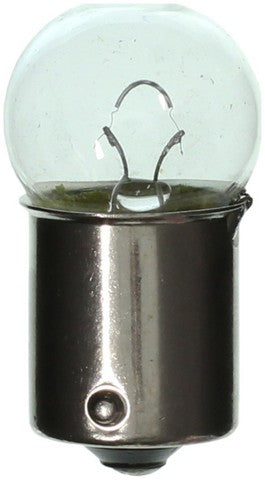 Wagner Lighting Dome Light Bulb,Instrument Panel Light Bulb,Map Light Bulb,Tail Light Bulb  BP67