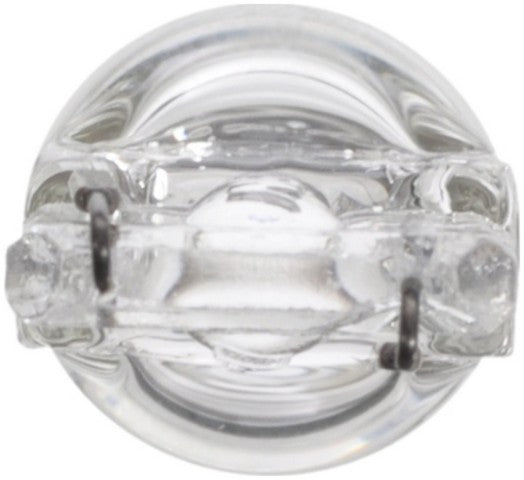Wagner Lighting Multi Purpose Light Bulb  BP70711