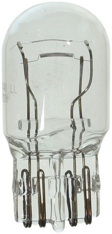 Wagner Lighting Back Up Light Bulb,Parking Light Bulb,Tail Light Bulb,Turn Signal Light Bulb  BP7443LL