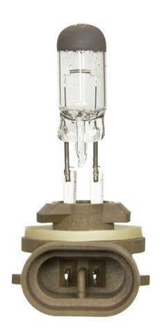 Wagner Lighting Cornering Light Bulb,Fog Light Bulb  BP881