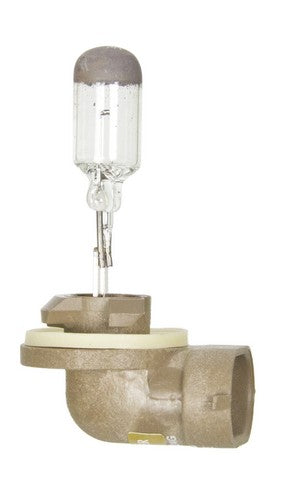 Wagner Lighting Cornering Light Bulb,Fog Light Bulb  BP881
