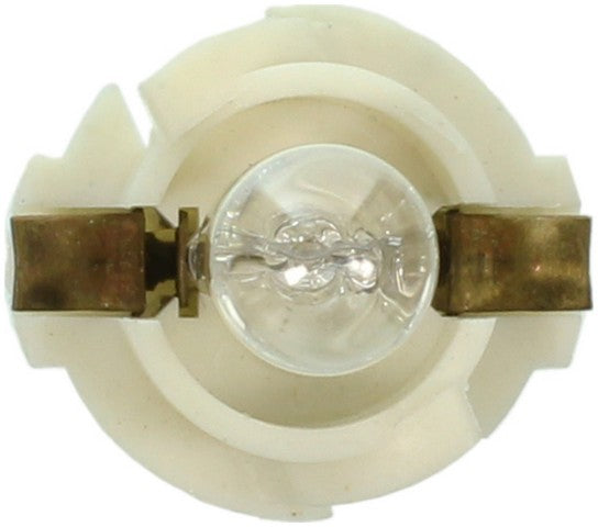 Wagner Lighting Instrument Panel Light Bulb  BP882