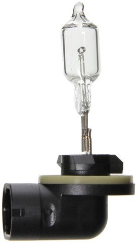 Wagner Lighting Driving Light Bulb,Fog Light Bulb,Headlight Bulb  BP886