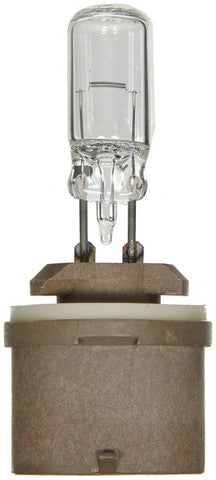 Wagner Lighting Back Up Light Bulb,Parking Light Bulb,Turn Signal Light Bulb  BP890