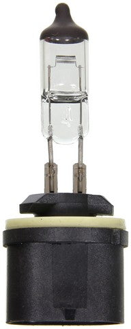 Wagner Lighting Fog Light Bulb,Headlight Bulb  BP899