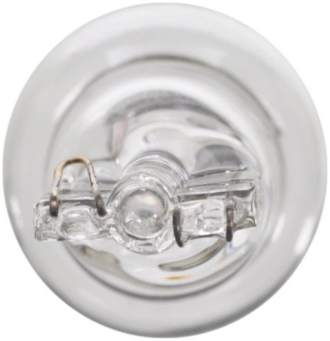 Wagner Lighting Back Up Light Bulb,Dome Light Bulb,Fog Light Bulb,Tail Light Bulb  BP921