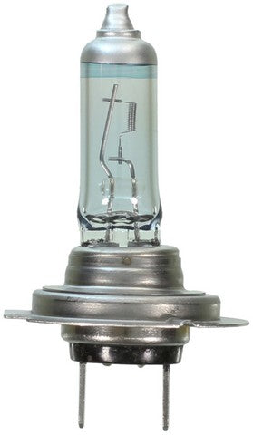 Wagner Lighting Cornering Light Bulb,Daytime Running Light Bulb,Fog Light Bulb,Headlight Bulb  BPH7TVX