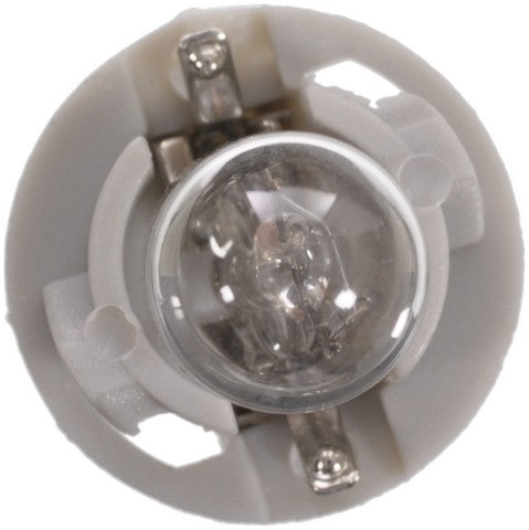 Wagner Lighting Glove Box Light Bulb,Instrument Panel Light Bulb,Map Light Bulb  BPPC194