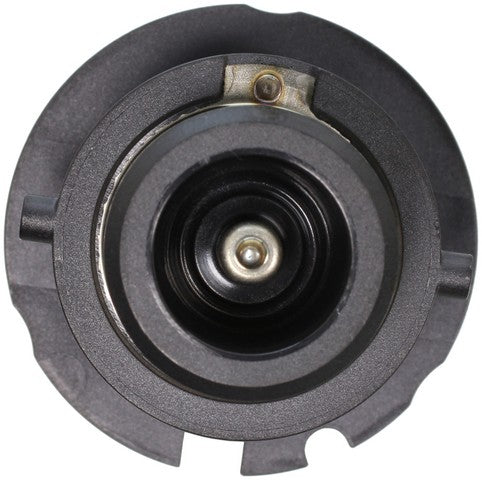 Wagner Lighting Headlight Bulb  D2R