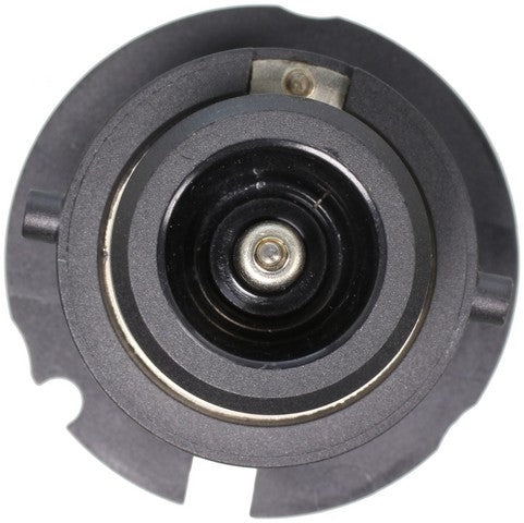 Wagner Lighting Headlight Bulb  D2S