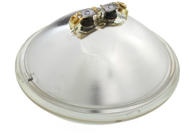 Wagner Lighting Multi Purpose Light Bulb  H7635