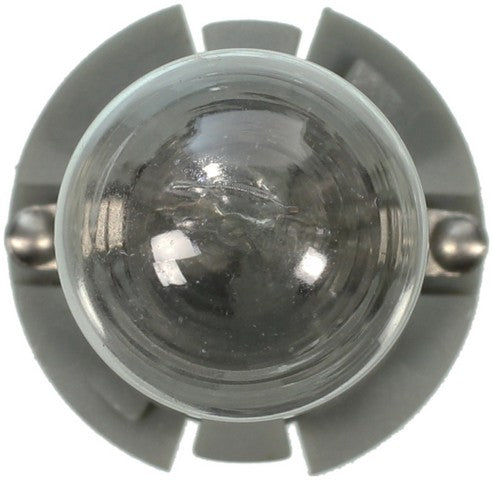 Wagner Lighting Map Light Bulb  PC579