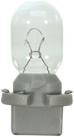 Wagner Lighting Map Light Bulb  PC579