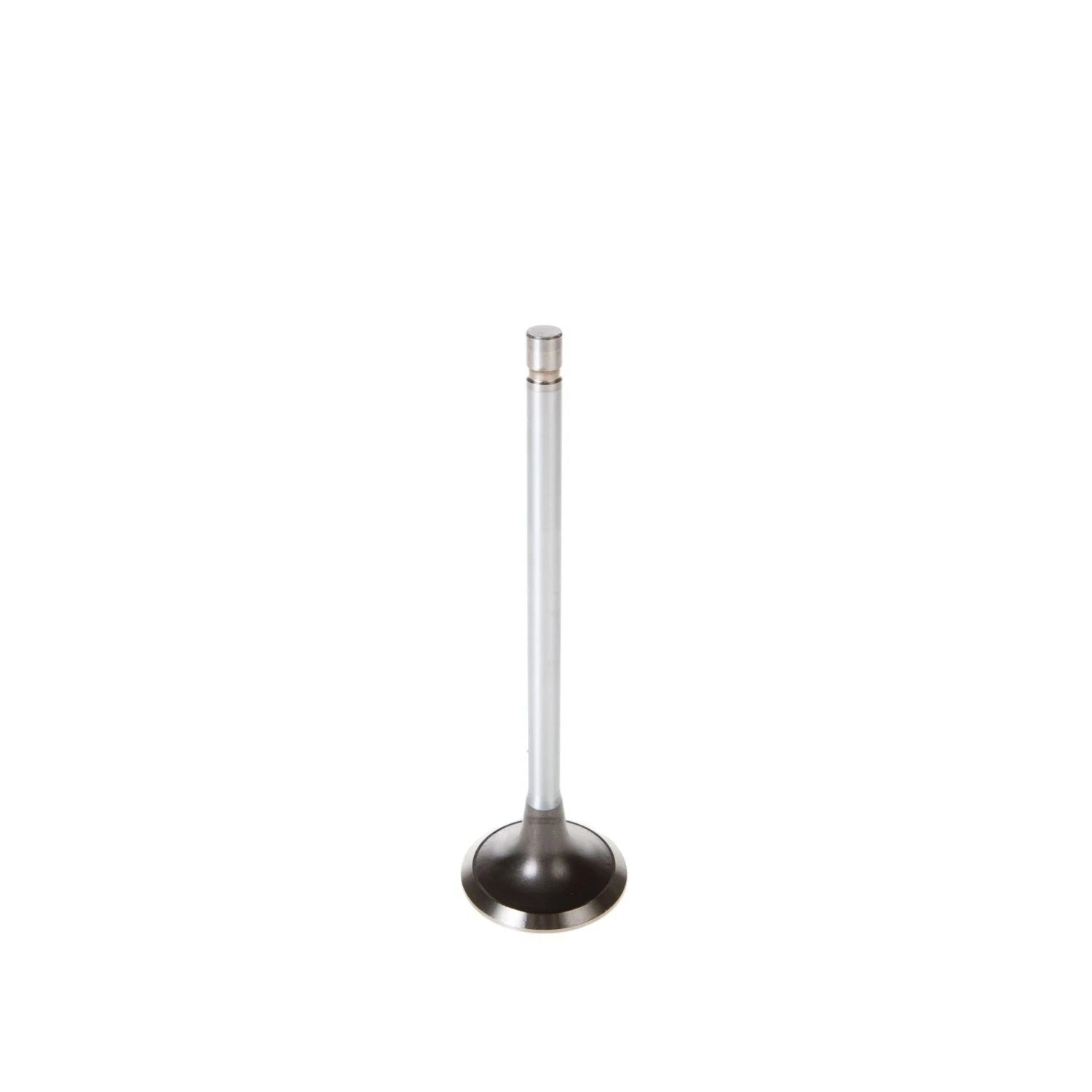 Melling Engine Exhaust Valve  V1786