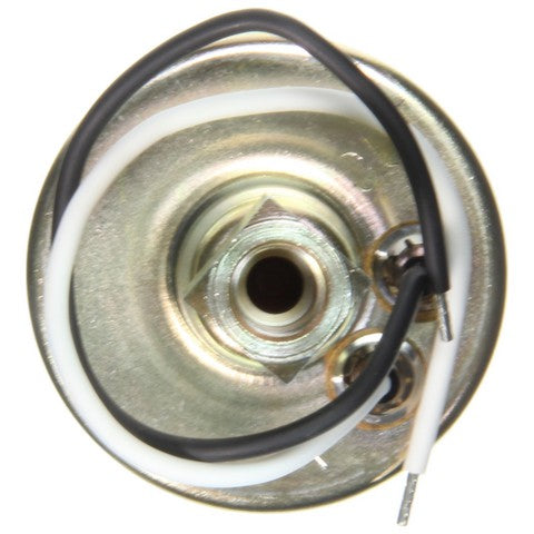 Carter Electric Fuel Pump  P74020