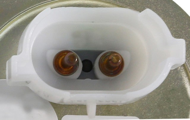 Carter Fuel Pump Hanger Assembly  P74821H