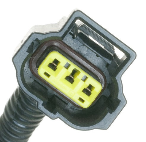 Carter Fuel Pump Module Assembly  P76471M