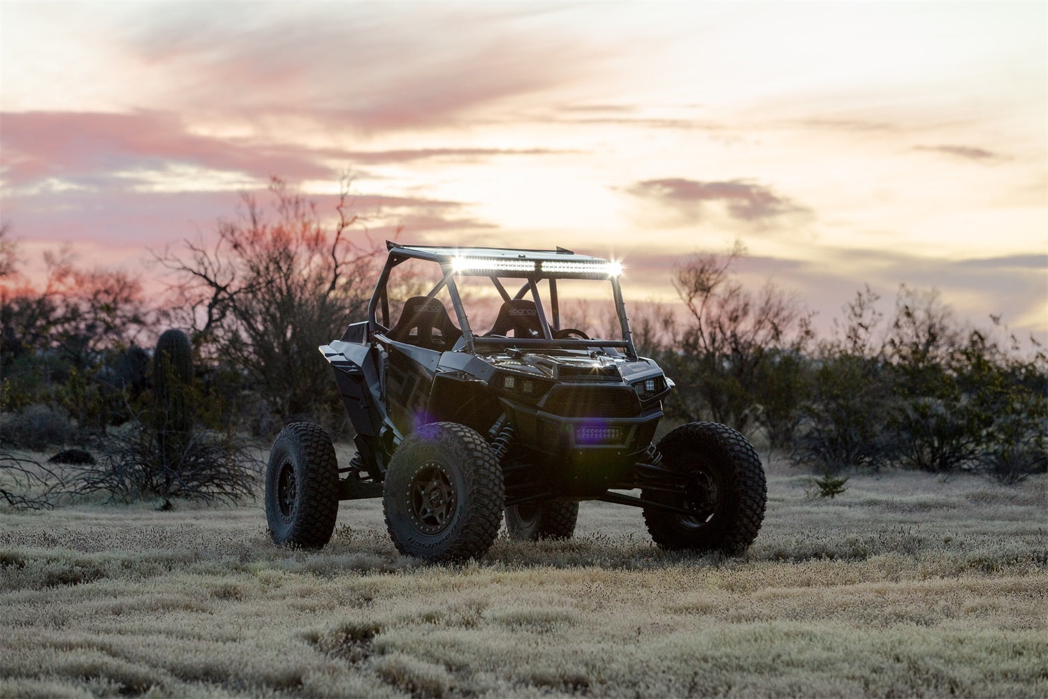 https://www.catalograck.com/ImgVDHR/RIG/RIGID_Adapt_E-Series_RZR_Lifestyle_2.jpg