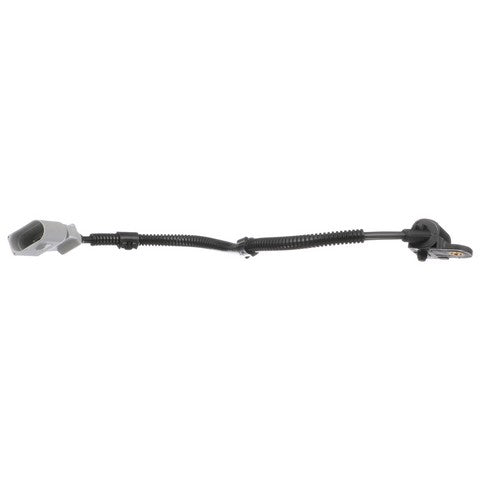 Delphi Engine Camshaft Position Sensor  SS10964