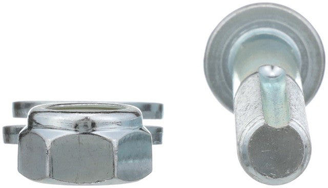 Delphi Alignment Cam Bolt Kit  TAL10009
