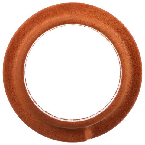 Delphi Suspension Coil Spring Seat  TC6465