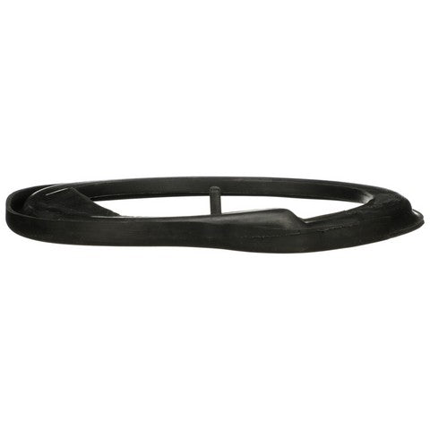 Delphi Suspension Coil Spring Seat  TC6545