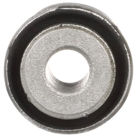 Delphi Suspension Control Arm Bushing  TD1301W