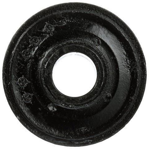 Delphi Axle Pivot Bushing  TD5044W