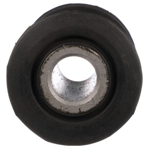Delphi Leaf Spring Bushing  TD5842W