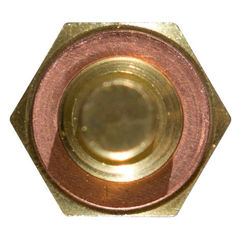 https://www.ShowMeThePartsdb.com/bin/images/Delphi/TS10250V.jpg