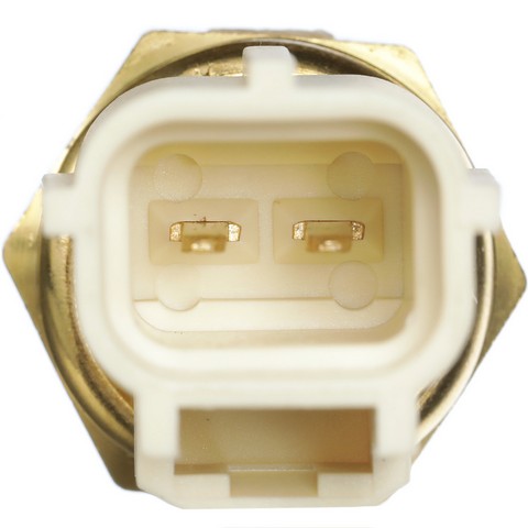 https://www.ShowMeThePartsdb.com/bin/images/Delphi/TS10289C.JPG