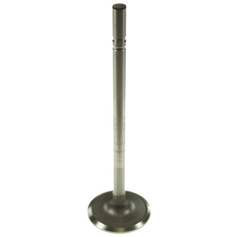 Melling Engine Intake Valve  V0308