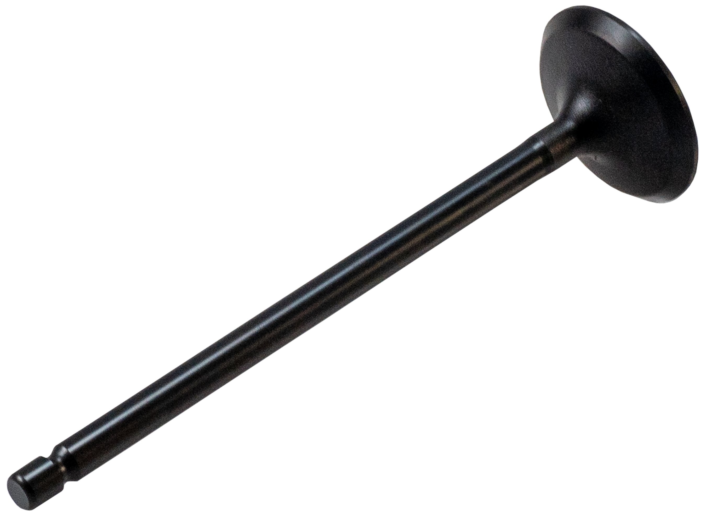 Melling Engine Intake Valve  V0816