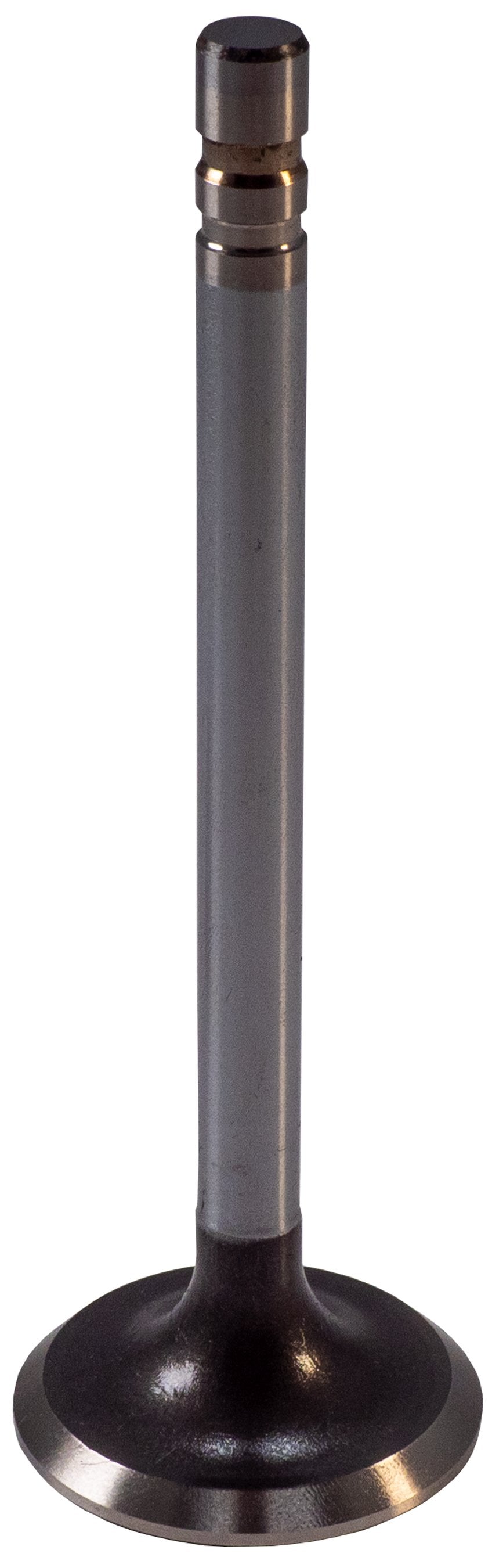 https://sdda.semadata.org/Standard/Melling Engine Parts/V0919-2-FRO.tif