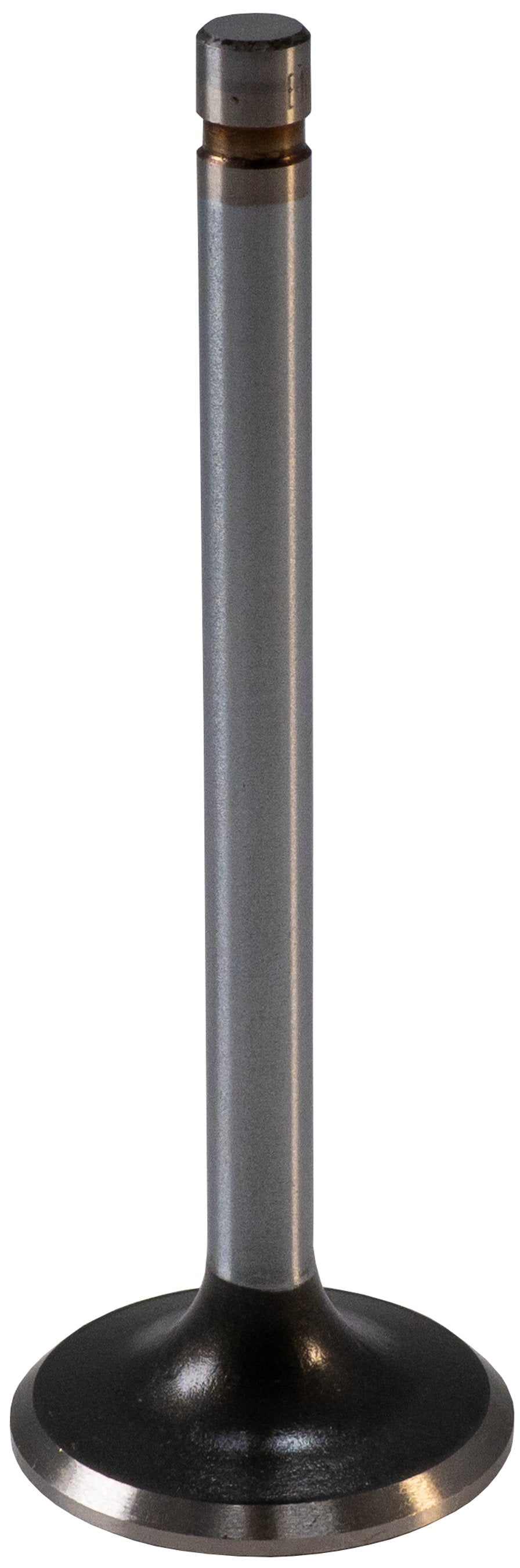 https://sdda.semadata.org/Standard/Melling Engine Parts/V0974-2-FRO.tif