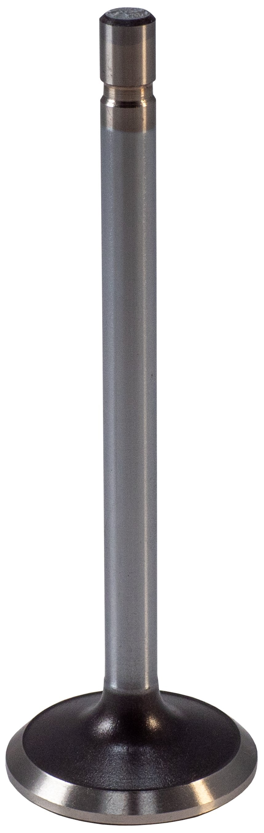 https://sdda.semadata.org/Standard/Melling Engine Parts/V1102-2-FRO.tif