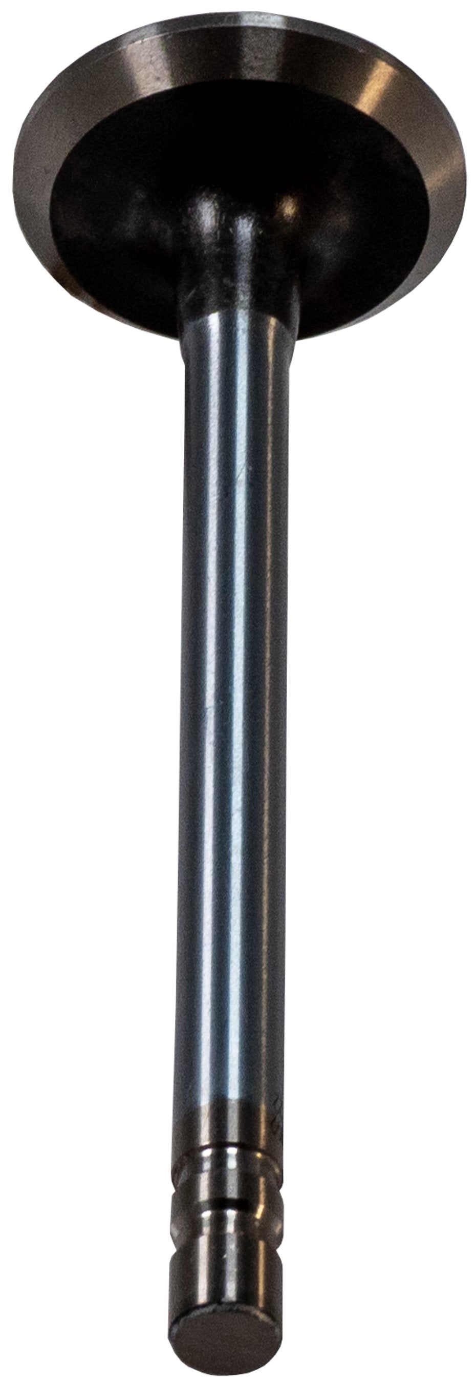 https://sdda.semadata.org/Standard/Melling Engine Parts/V1192-4-TOP.tif