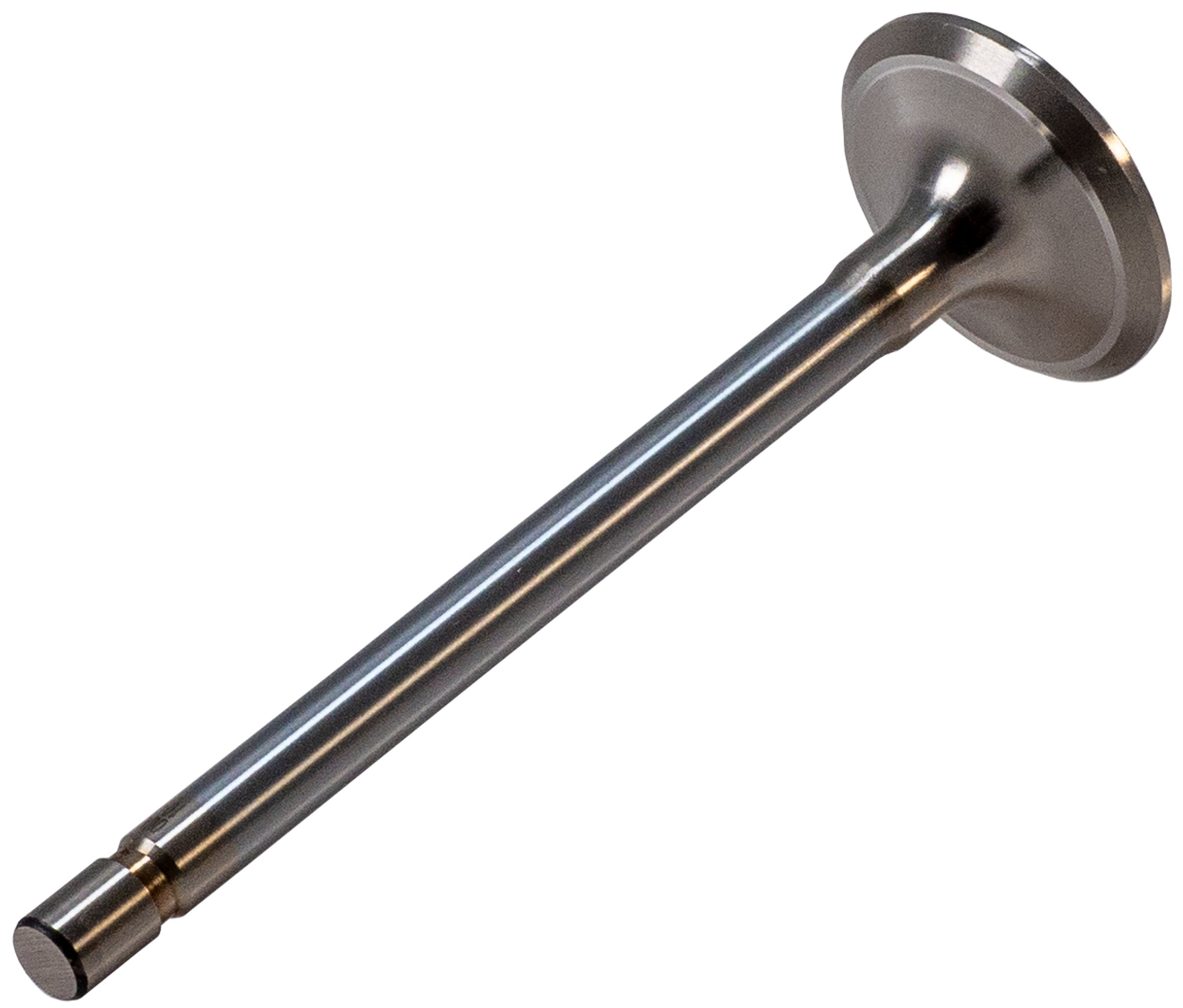 Melling Engine Exhaust Valve  V1237