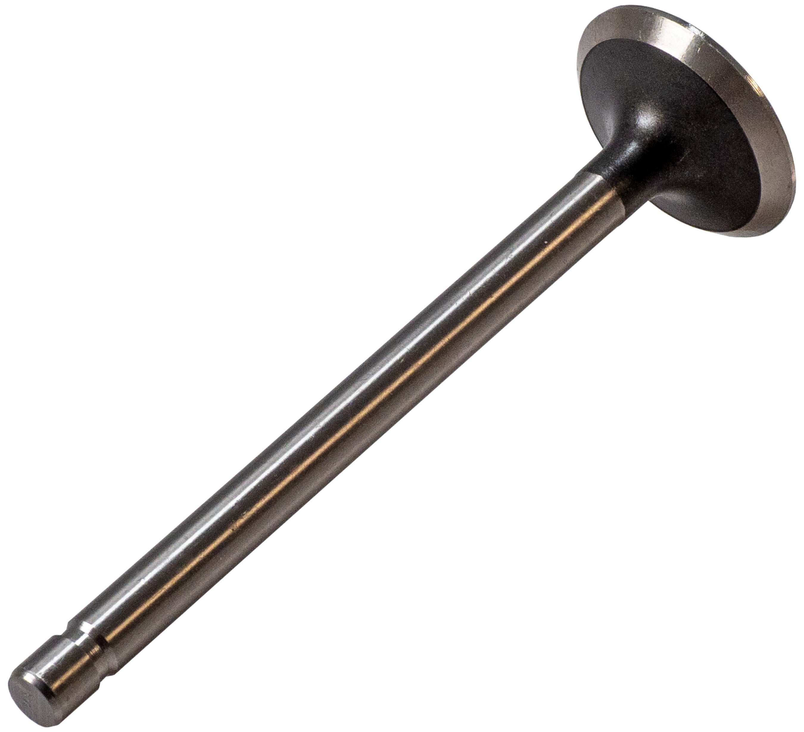 Melling Engine Exhaust Valve  V1242